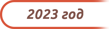 2023 год