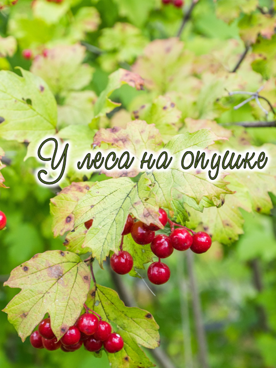 У леса на опушке