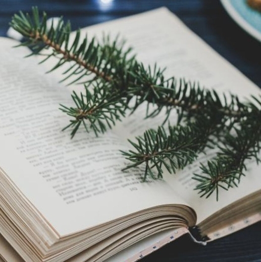 С праздниками!