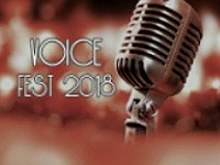Итоги вокального фестиваля «Voice Fest»